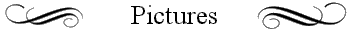 Pictures